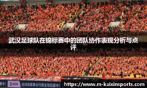 武汉足球队在锦标赛中的团队协作表现分析与点评